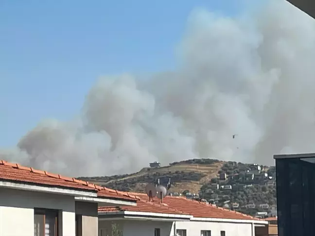 İzmir'in Foça ilçesinde orman yangınına müdahale