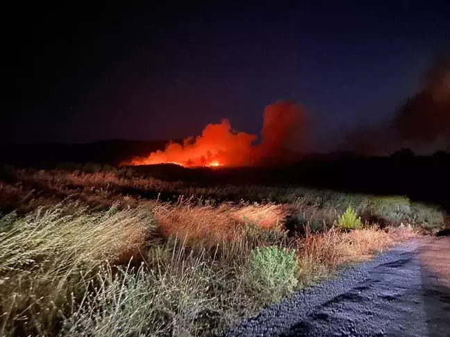 Çanakkale'de Ormanlık Alanda Yangın Çıktı