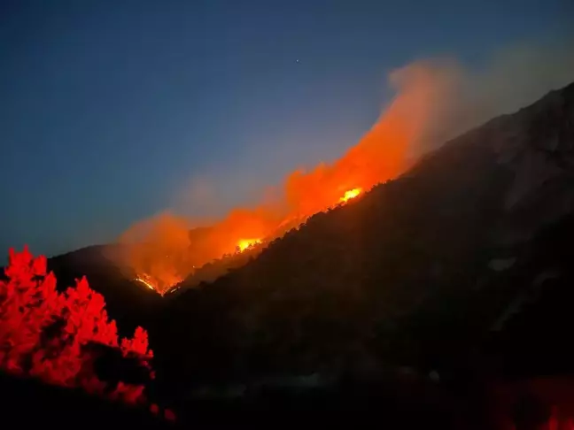 Çorum'un Kargı ilçesinde orman yangını