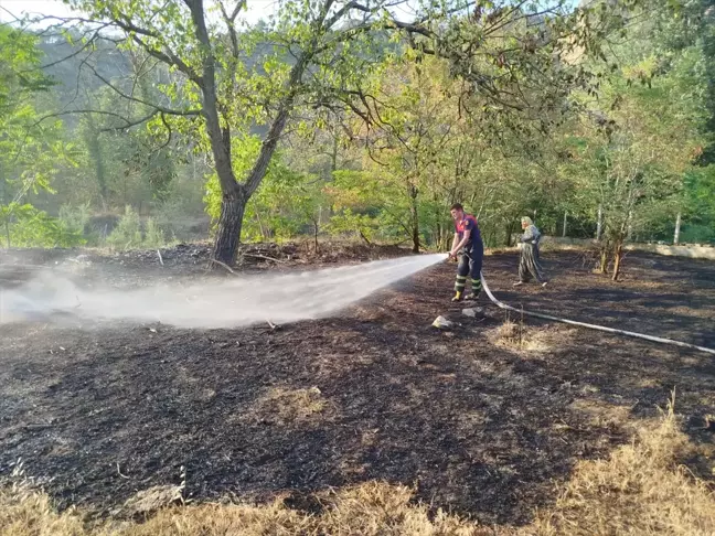 Sinop'un Boyabat ilçesinde bahçede çıkan yangın söndürüldü