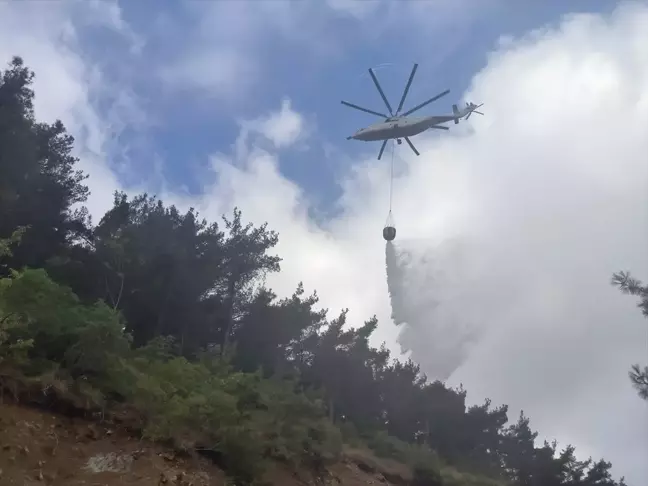 Hatay'ın Arsuz ilçesinde çıkan yangın kontrol altına alındı