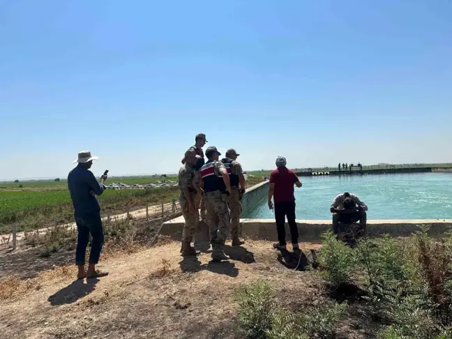 Şanlıurfa'da hayvan otlatmak için evden çıkan kadının cesedi sulama kanalında bulundu