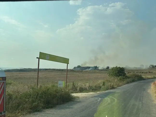 Tarsus'ta Anız Yangını Tarladan Meyve Bahçesine Sıçradı