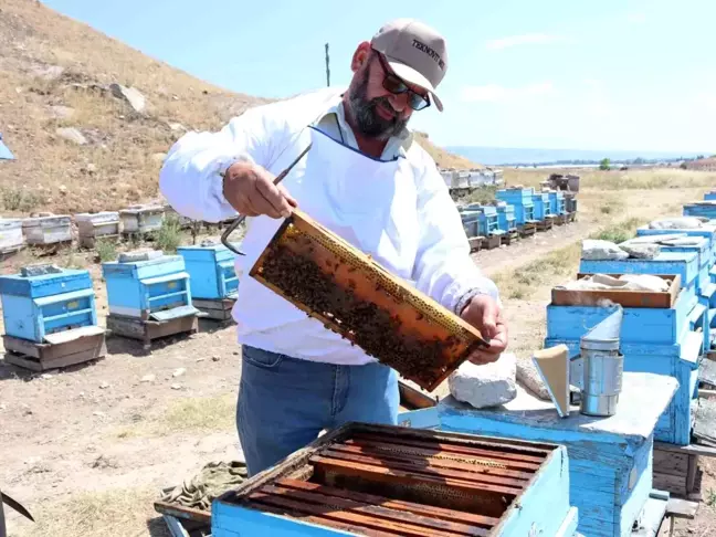 Eskişehir'de Yükselen Hava Sıcaklıkları Bal Üretimini Olumsuz Etkiliyor