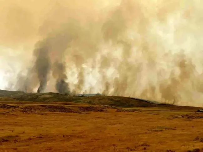 ABD'nin Oregon ve California eyaletlerinde büyük orman yangınları devam ediyor