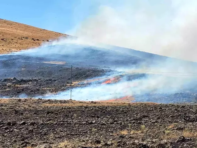 Elazığ'da dağlık alanda çıkan yangın kontrol altına alındı