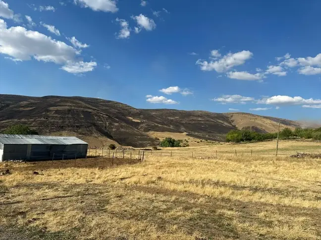 Elazığ'da otluk alanda çıkan yangın söndürüldü