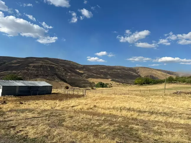 Elazığ'ın Karakoçan ilçesinde otluk alanda çıkan yangına müdahale ediliyor