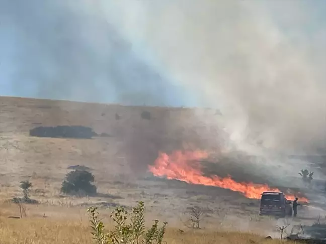 Malatya'da çıkan örtü yangını söndürüldü