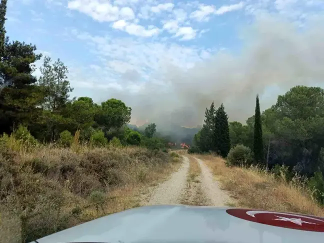 Çanakkale'de Orman Yangını Kontrol Altına Alındı