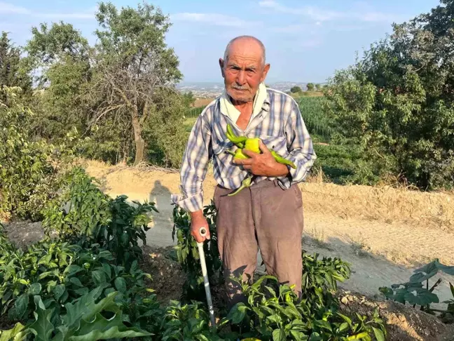 88 Yaşındaki Çiftçi Gençlere Tarımı Tavsiye Etti