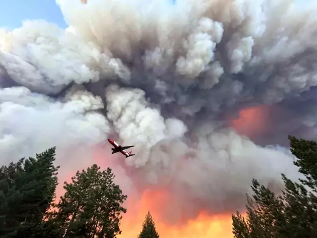 ABD'nin California Eyaletindeki Orman Yangını 145 Bin Dönüme Yayıldı