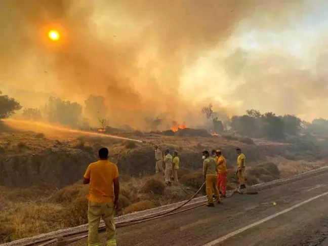 İzmir'de Orman Yangını: Bir Site Tahliye Edildi