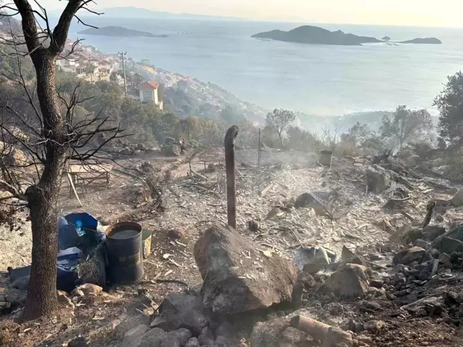 İzmir'de orman yangınında zeytin ağaçlarıyla birlikte bağ evi yandı