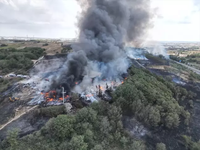 Tekirdağ'da otluk alanda çıkan yangın söndürüldü