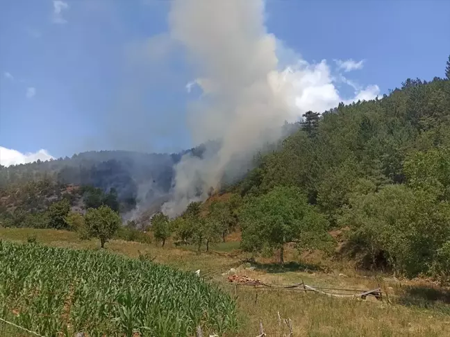 Bursa'da Orman Yangını Kontrol Altına Alındı