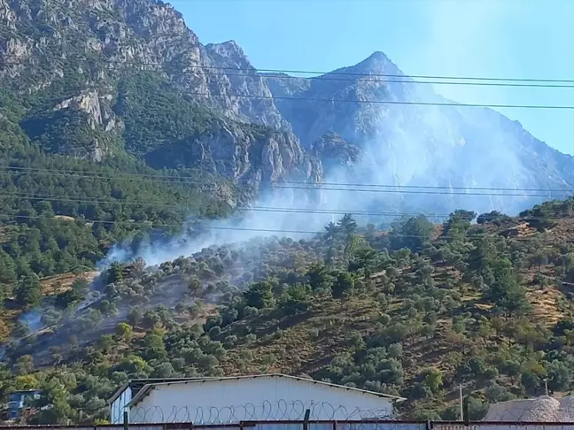 Manisa'da makilik alanda çıkan yangın söndürüldü