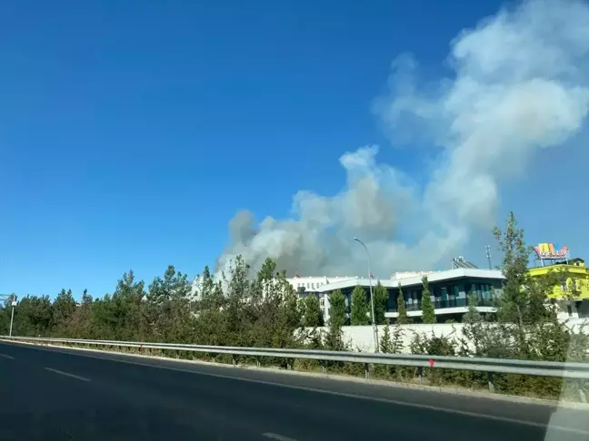 Gaziantep'te çıkan orman yangınına müdahale ediliyor