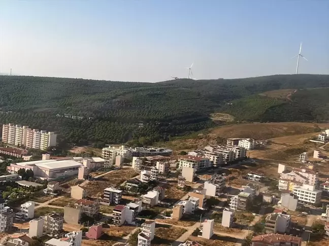 Yalova'da çıkan yangınlar kontrol altına alındı