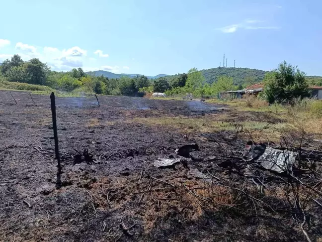 Yalova'da çıkan orman yangınlarıyla ilgili soruşturma başlatıldı