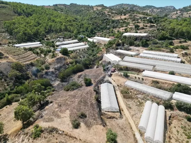 Antalya'da çıkan yangında 2 hektar ormanlık alan ve 4 sera zarar gördü