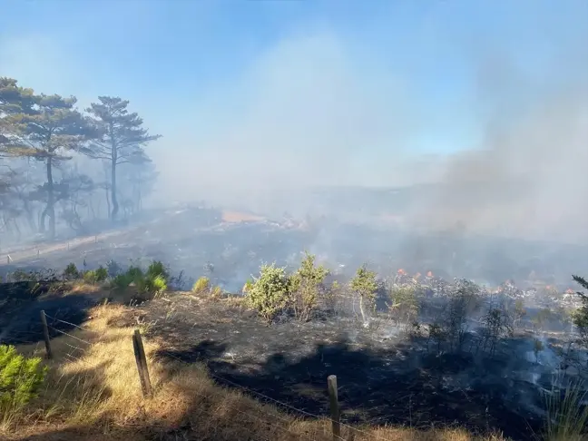 Çanakkale'de Orman Yangınına Müdahale Devam Ediyor