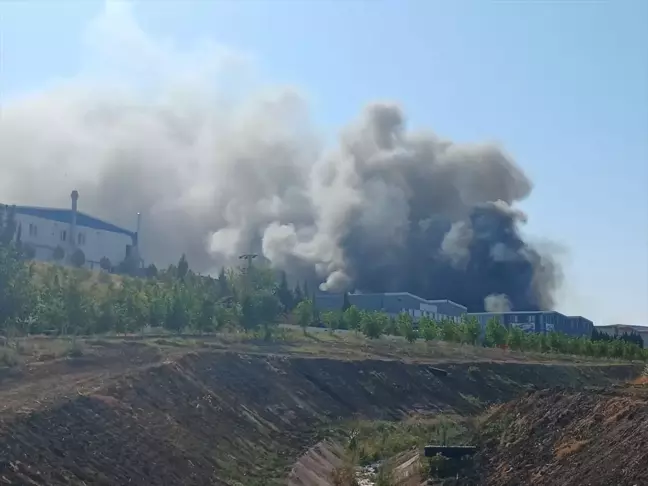 Tekirdağ'ın Hayrabolu ilçesinde 2 fabrikada çıkan yangına müdahale ediliyor