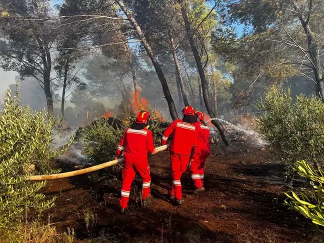 Arnavutluk'ta Şingin ilçesinde orman yangını çıktı