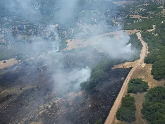 Bingöl'ün Genç ile Kiğı ilçelerinde çıkan orman yangınları söndürüldü