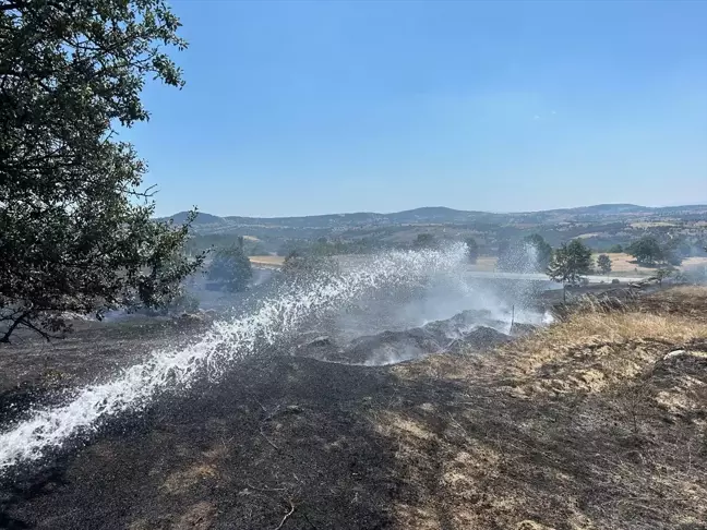 Orhaneli'deki Anız Yangını Söndürüldü