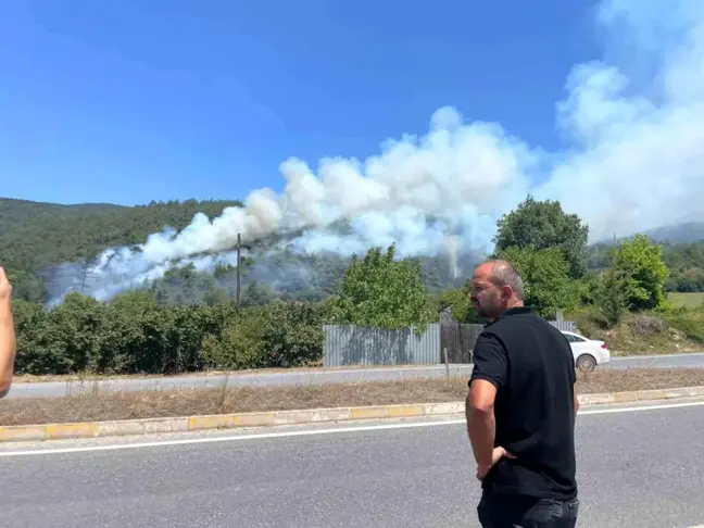 Sakarya'da Ormanlık Alanda Yangın Çıktı