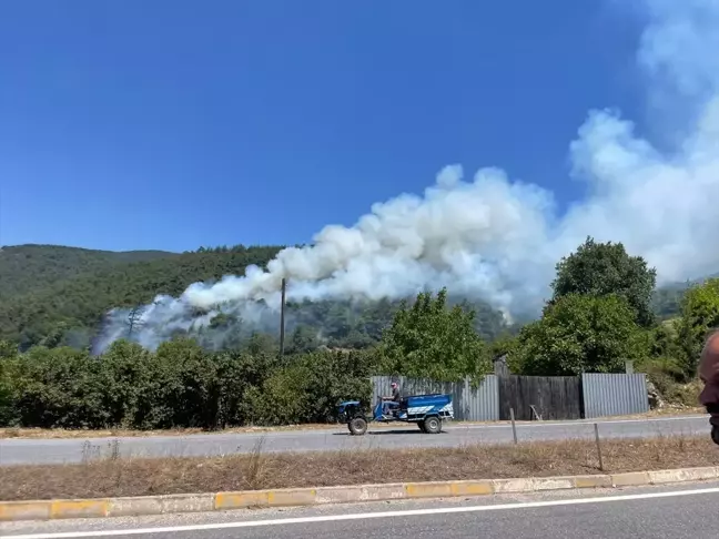 Sakarya'da orman yangını kontrol altına alındı