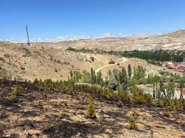 Şarkışla'da çıkan yangında 150 çam fidanı ve 50 servi ağacı zarar gördü