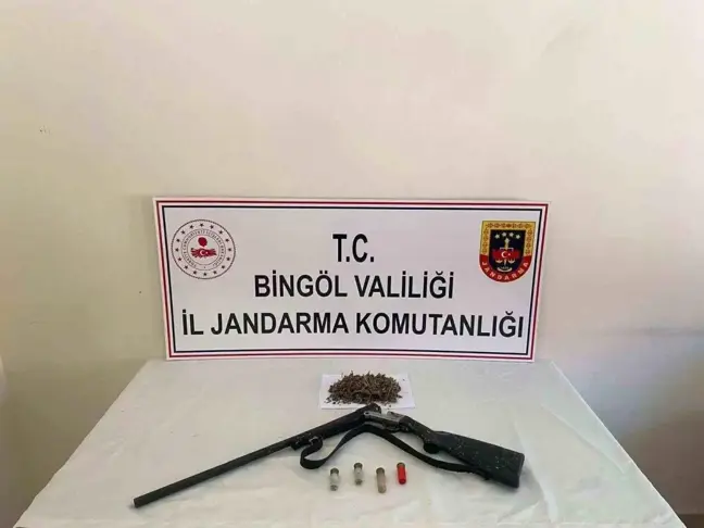 Bingöl'de 6 Bin 283 Kök Kenevir ve Ruhsatsız Av Tüfeği Ele Geçirildi