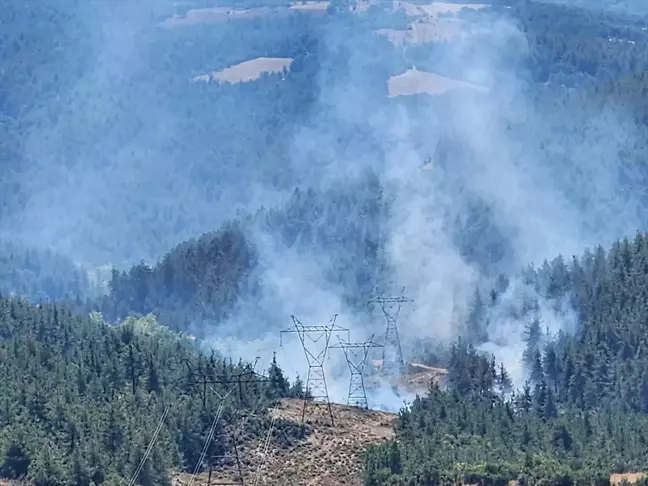 Orhaneli ilçesinde ormanlık alanda yangın çıktı