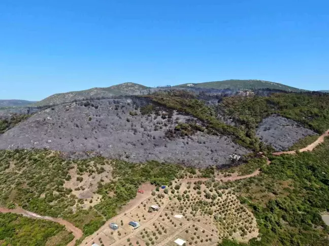 İzmir Urla'da çıkan orman yangınının hasarı havadan görüntülendi