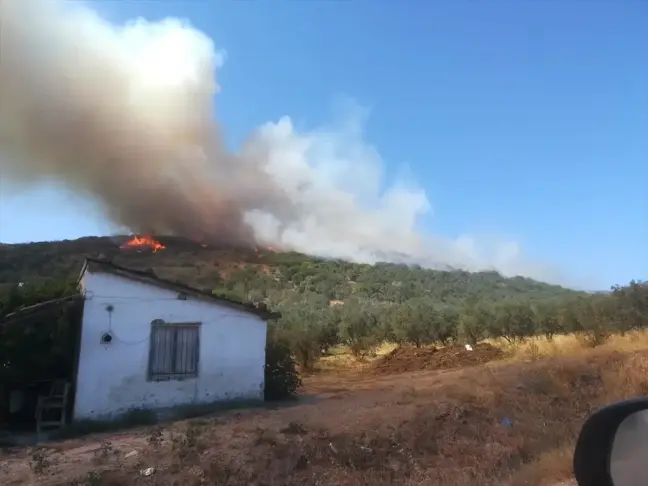 Balıkesir Erdek'teki Orman Yangını Kontrol Altına Alındı