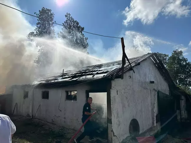 Samsun'da samanlık ve odunlukta çıkan yangın evlere sıçramadan söndürüldü