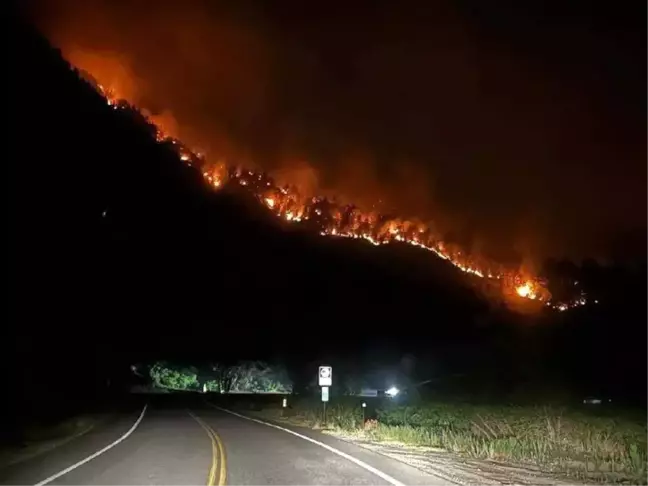 ABD'nin Colorado eyaletindeki orman yangında 1 kişi hayatını kaybetti