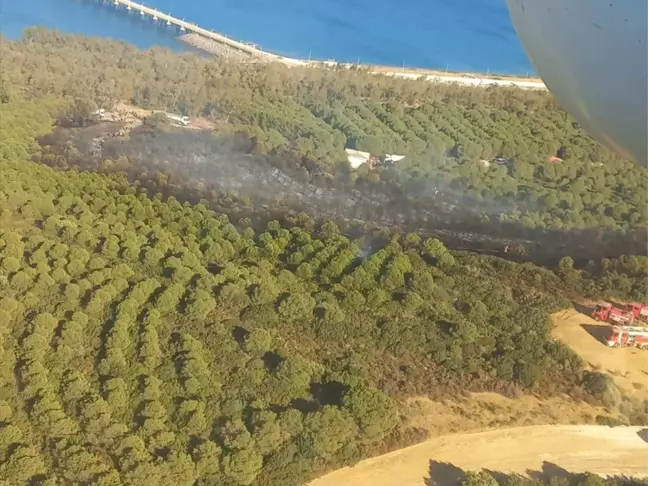 İzmir Aliağa'da Orman Yangını: Havadan ve Karadan Müdahale Devam Ediyor