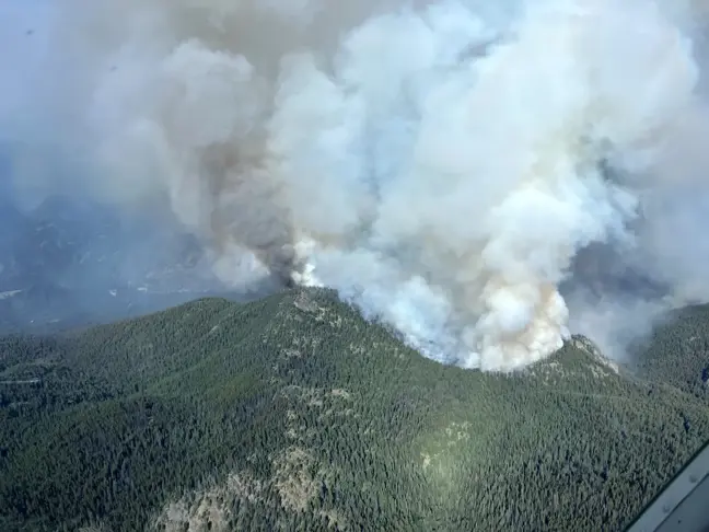 Kanada'nın British Columbia ve Alberta eyaletlerinde orman yangınları çıktı