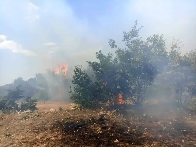 Eskişehir'de Ormanlık Alanda Çıkan Yangın Kontrol Altına Alındı