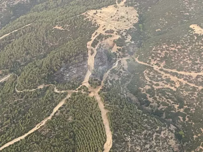 Nazilli'de çıkan orman yangını kontrol altına alındı