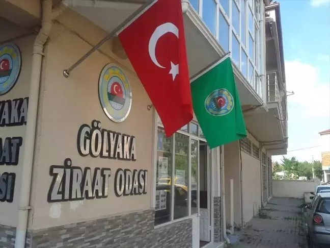 Gölyaka Ziraat Odası, mevsimlik tarım işçilerinin yevmiyelerine tavan fiyat uygulaması getirdi