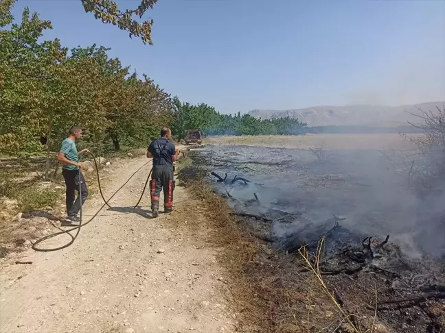 Malatya'da çıkan anız ve bahçe yangınları söndürüldü