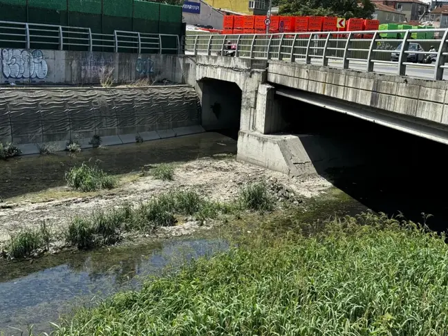 Hem vatandaş hem de esnaf isyanda! Alibeyköy Deresi yüzünden kokudan durulmuyor