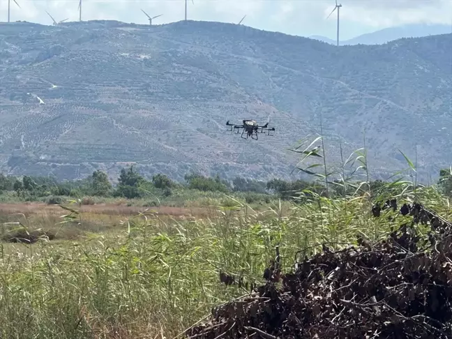 Samandağ ilçesinde dronla haşere ve sinek ilaçlama yapıldı