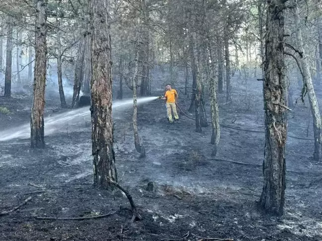 Mudurnu'da Ormanlık Alanda Çıkan Yangın Kontrol Altına Alındı