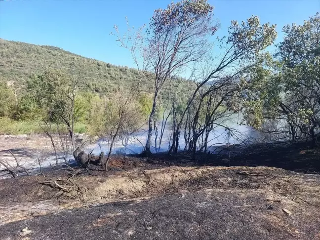 Bolu Göynük'te Anız Yangını: 4 Dönüm Arazi Zarar Gördü