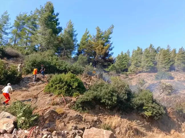 Kırıkhan'da Ormanlık Alanda Çıkan Yangına Havadan ve Karadan Müdahale Başlatıldı